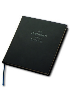 cover image of Das Drehbuch meines Lebens